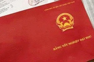 Kỷ luật phó chủ tịch huyện khai man bằng đại học