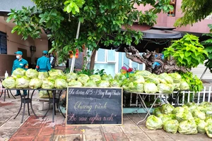 Khi thành phố tôi đồng lòng