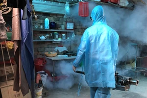 Chủ động phòng chống virus Chikungunya