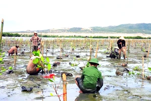 Miền Trung ngổn ngang trước mùa mưa bão - Bài 3: Muốn yên thì sống thuận thiên