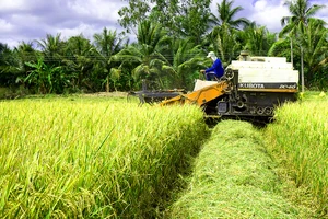 “Hạt ngọc” nhân đôi niềm vui