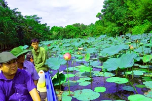 Nét đẹp ở Lung Ngọc Hoàng