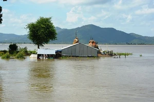 Ứng phó đợt mưa lũ, áp thấp nhiệt đới dị thường