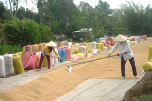 Đồng Tháp duy trì mục tiêu tăng trưởng