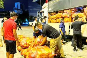 “Chiến sĩ” thể thao trên mặt trận chống dịch