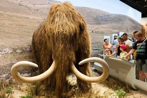 Một mô hình voi mammoth 