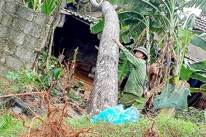 Nghệ An ngập nặng do... mưa lớn