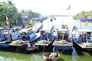 Sóc Trăng phê duyệt dự án phát triển thủy sản bền vững gần 1.000 tỷ đồng