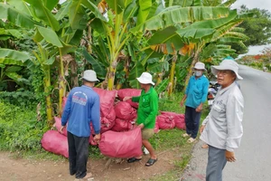 Thu gom 16 tấn bao bì thuốc bảo vệ thực vật trên tuyến kênh, mương nội đồng ở Đồng Tháp