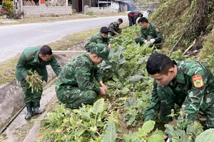 Sức sống miền biên viễn