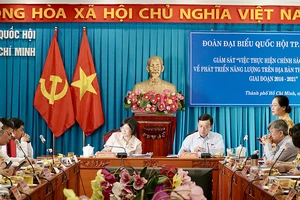 Buổi giám sát của Đoàn ĐBQH sáng 22-1