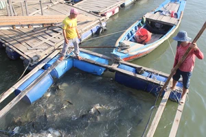 Bàn giải pháp gỡ khó cho ngành thủy sản