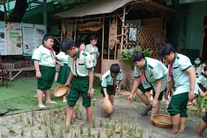 Băn khoăn hoạt động trải nghiệm