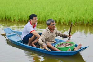 Phản hồi loạt bài “Thuận thiên” tạo sinh kế cho người dân miền Tây: Đảm bảo sự phát triển nhất quán, bền vững