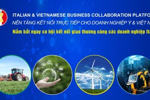 VELP 2023 - Chương trình giáo dục và kinh doanh ASEAN