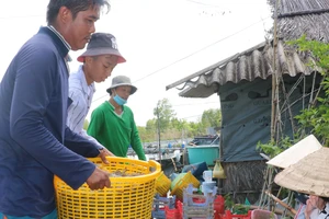 6 tháng đầu năm, GRDP Cà Mau đứng thứ 2 khu vực ĐBSCL và thứ 5 cả nước