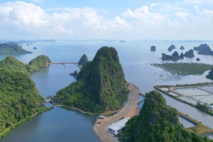 Dự án Khu đô thị 10B, được UBND tỉnh Quảng Ninh phê duyệt năm 2021. Hiện dự án đang được triển khai thực hiện. Ảnh: Báo Tiền Phong