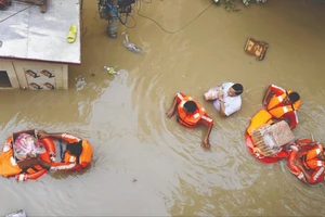 Năm 2024: Thời tiết cực đoan càn quét khắp thế giới 