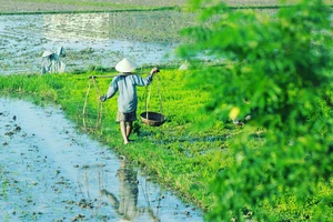 "Tết nay – Tết xưa" đậm mùi thương, mùi nhớ