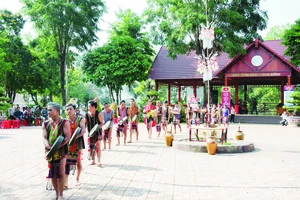 Trên quê hương “Tiếng chày trên sóc Bom Bo”