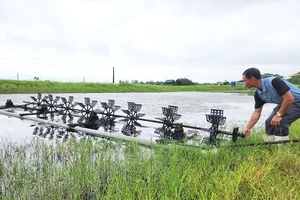 Dự án điện “treo”, người dân gặp khó