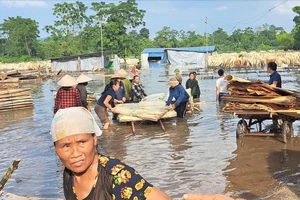 Lập đoàn công tác kiểm tra hàng loạt thủy điện xả nước gây ngập nặng ở Lào Cai, Yên Bái