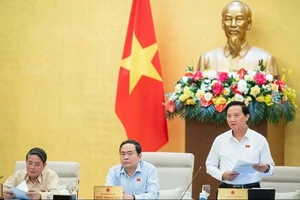 "Chịu trách nhiệm toàn diện, vẫn phải đi xin đủ thứ, lỡ hết cơ hội"