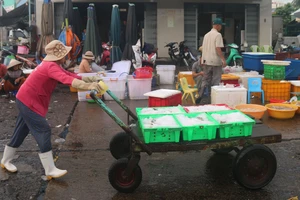 Những “nữ phu cá” trên cảng Phan Thiết