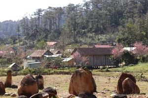 Kon Tum phát triển 10 làng du lịch cộng đồng trên Kon Plông