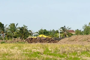 Tiền Giang: Nông dân ồ ạt bán đất mặt ruộng