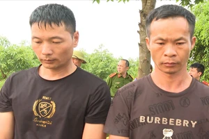 Tạm giữ 2 đối tượng người nước ngoài xâm phạm mộ vua Lê Túc Tông để tìm cổ vật