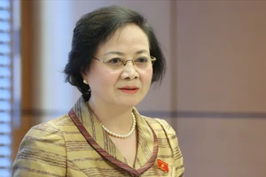 Trình Chính phủ Đề án sắp xếp đơn vị hành chính cấp tỉnh năm 2025