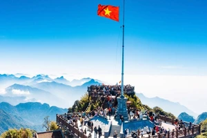 Lạc bước vào thiên đường hoa hồng trên đỉnh Fansipan