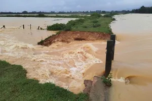 Phía Bắc lại sắp đón đợt mưa mới