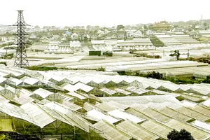 Chỉ số xanh cải thiện bức tranh “xám”