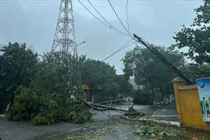 Bộ Công thương yêu cầu sẵn sàng hàng hóa cho vùng lũ bão