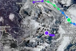 Miền Nam tiếp tục mưa gió diện rộng