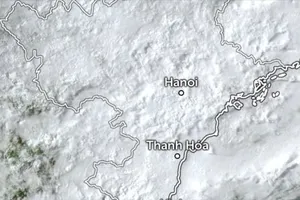 Từ hôm nay đến ngày 3-11, miền Trung tiếp tục có mưa to đến rất to