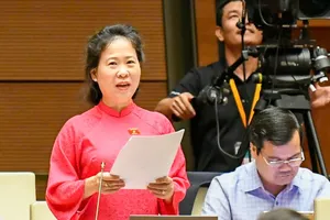 ĐB Tô Ái Vang (Cần Thơ) phát biểu tại phiên họp, chiều 14-11. Ảnh: VIẾT CHUNG