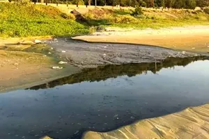Dòng nước thải đen kịt chảy ra biển Mũi Né