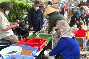 Chợ phiên xưa giữa lòng phố cảng