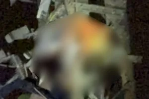 Điện lực Khánh Hòa thông tin vụ người đàn ông tử vong trên trụ điện