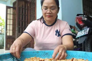 Chị Hoàng Thị Chanh- hộ dân tiên phong triển khai mô hình nuôi đuông dừa ở xã Bình Điền, TP Huế