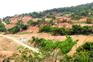 Dự án Khu du lịch biển Tiên Sa gây ảnh hưởng đến môi sinh bán đảo Sơn Trà . Ảnh: NGUYÊN KHÔI