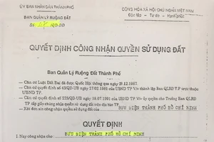 Nguồn gốc, pháp lý khu đất vườn rau tại Tân Bình