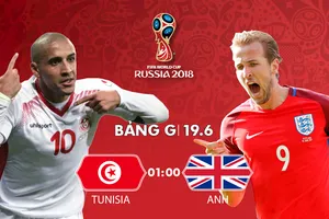 Infographic: HỮU VI