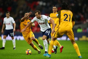 Nhận định Tottenham – Brighton: Khi Mourinho quyết gỡ thể diện (Mới cập nhật)