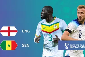 Koulibaly (Senegal) và Harry Kane (Anh)