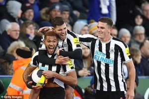 Joelinton ăn mừng bàn thắng