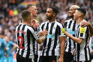 Các cầu thủ Newcastle ăn mừng bàn thắng của Callum Wilson